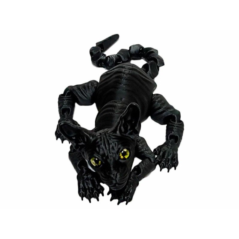 Kot_001
